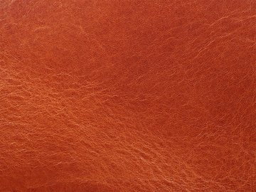 Konjak