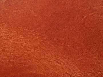 Primavera konjaks 06